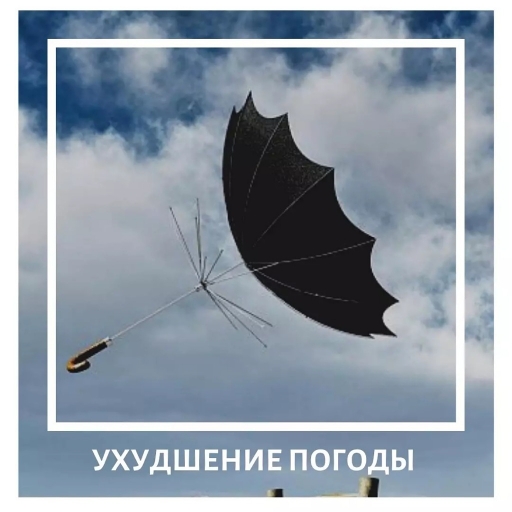 foto 07 09 2021 11 36