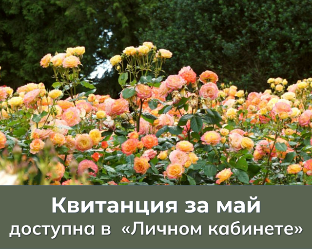 kvitanciya v LK
